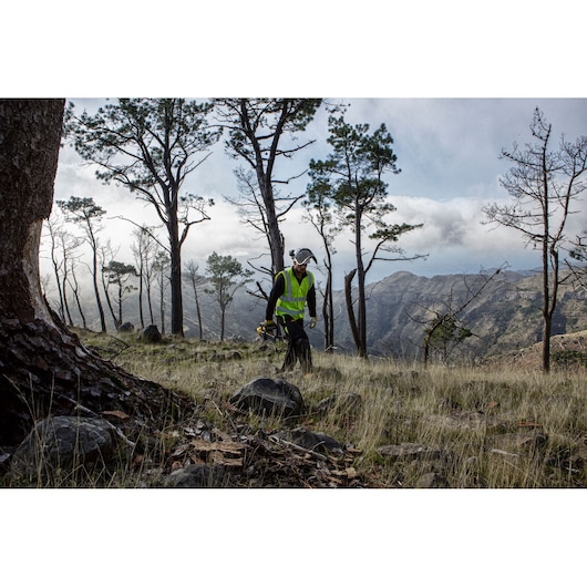 A person wearing a high-visibility vest and protective gear walks through a forested area carrying a DEWALT chainsaw. The landscape features tall pine trees, rocks, and distant mountains under a cloudy sky.