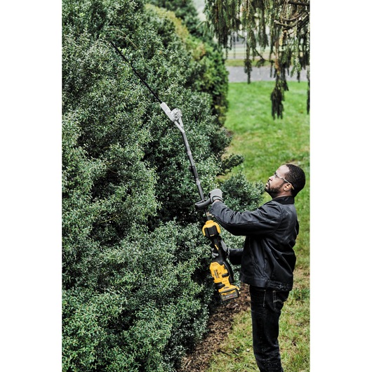 A person using a DEWALT cordless pole hedge trimmer to trim tall bushes outdoors. The person is wearing gloves and a black jacket. The yellow and black tool is held upright to reach high foliage.
