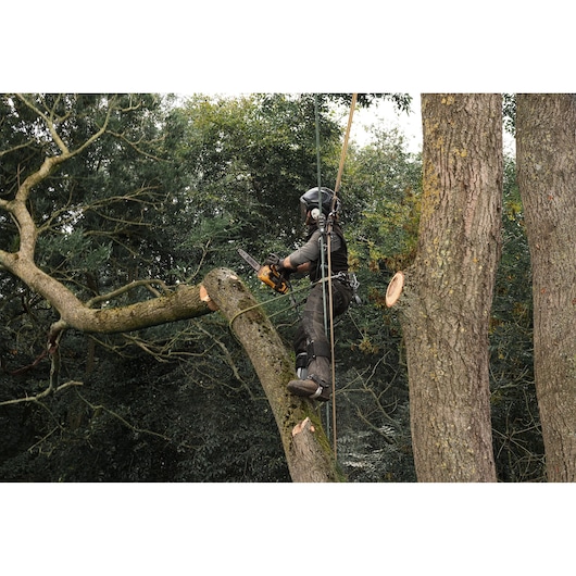 A person wearing protective gear is using a DEWALT chainsaw to cut a tree branch while secured with ropes, working high up in the tree.
