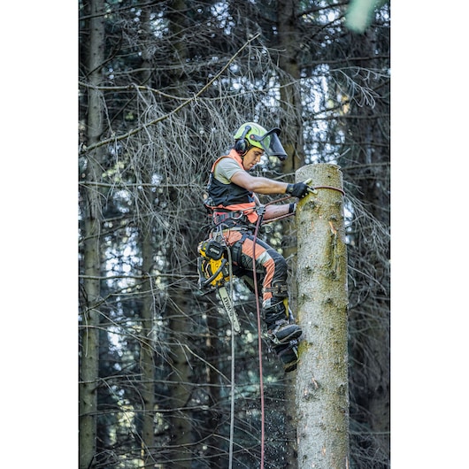 A worker wearing safety gear is climbing a tree using a DEWALT chainsaw, surrounded by a dense forest. The worker is secured