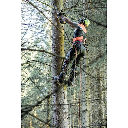A person wearing protective gear and a helmet is using a DEWALT chainsaw to cut branches while climbing a tree in a forest