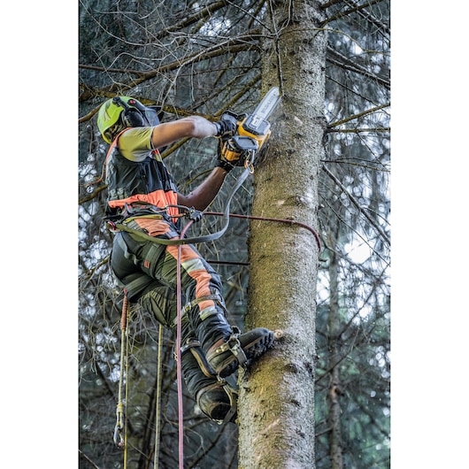 A person wearing protective gear uses a DEWALT chainsaw while climbing and working on a tree with ropes and harness in a