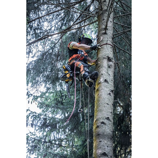 A person wearing safety gear climbs a tree using ropes and harnesses, carrying a DEWALT chainsaw. The scene takes place