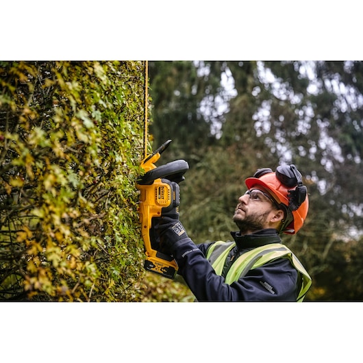 A person wearing protective gear trims a hedge with a yellow DEWALT cordless hedge trimmer outdoors.