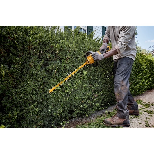 A person trimming a large hedge using a yellow DEWALT cordless hedge trimmer outdoors. The person is wearing work gloves