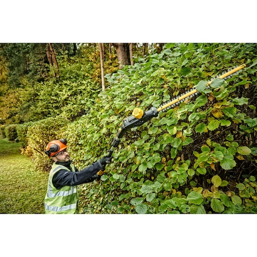 A person wearing safety gear uses a DEWALT DCMPH566N pole hedge trimmer to trim tall green hedges outdoors.
