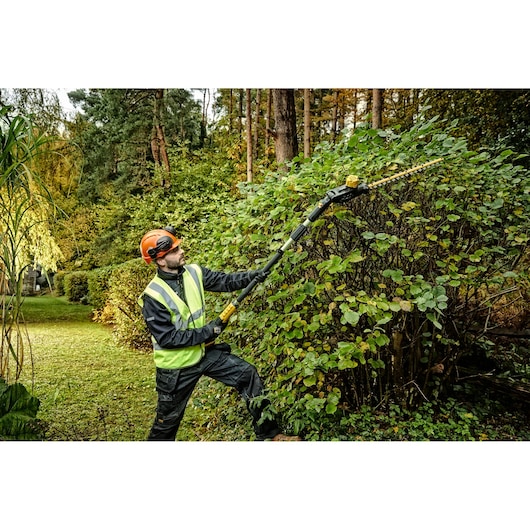 A person wearing safety equipment trims tall shrubbery with a DEWALT pole hedge trimmer outdoors in a garden setting.