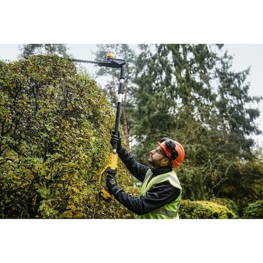 A person wearing safety gear is using a DEWALT DCMPH566N cordless pole hedge trimmer to trim the top of a large hedge outdoors, surrounded by trees.