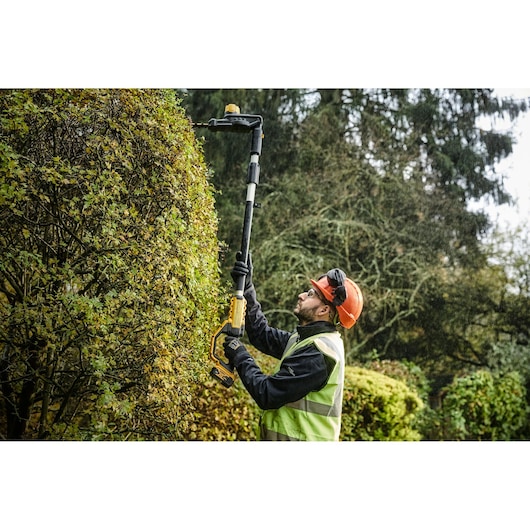 A person wearing protective gear and a hi-vis vest uses a DEWALT pole hedge trimmer to trim tall hedge bushes in an outdoor garden.