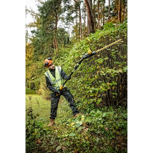 A person wearing protective gear and a safety vest is using a DEWALT DCMPH566P1 cordless pole hedge trimmer to trim tall bushes in an outdoor wooded area.