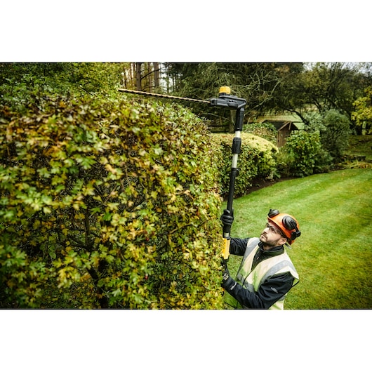 A person using a DEWALT pole hedge trimmer (model DCMPH566P1) to trim tall bushes in a landscaped garden. The user is wearing safety gear including gloves, a helmet, and a high-visibility vest.