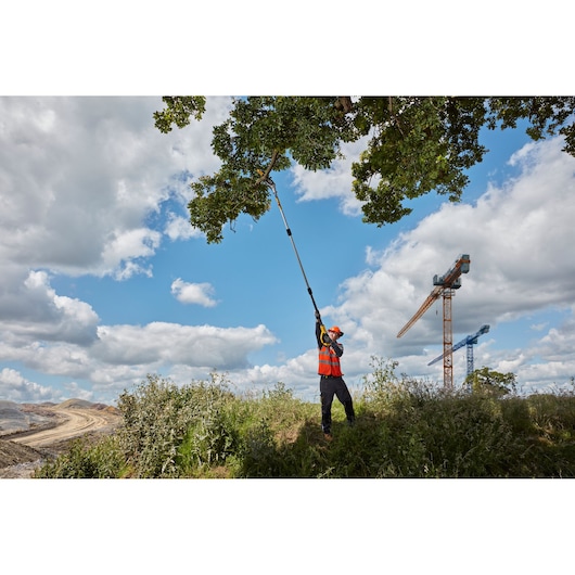 A person wearing safety gear uses a DEWALT DCMPS567P1 pole saw to trim branches from a tall tree outdoors, with construction