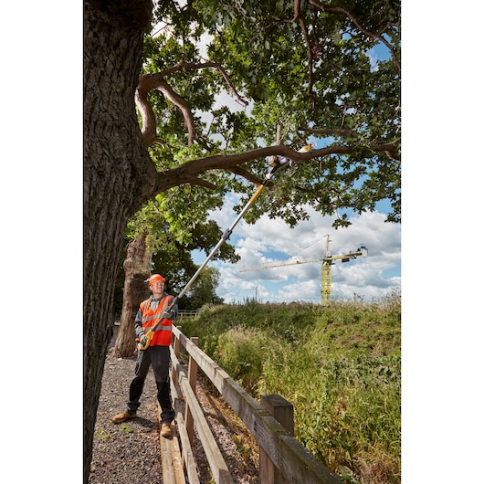 A person wearing an orange safety vest and helmet is using a DEWALT pole saw to trim tree branches alongside a wooden fence