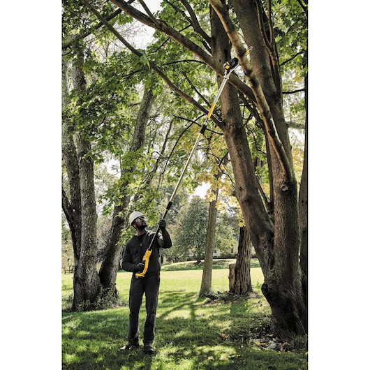 A person wearing safety gear uses a DEWALT cordless pole saw to prune tree branches outdoors in a grassy area.